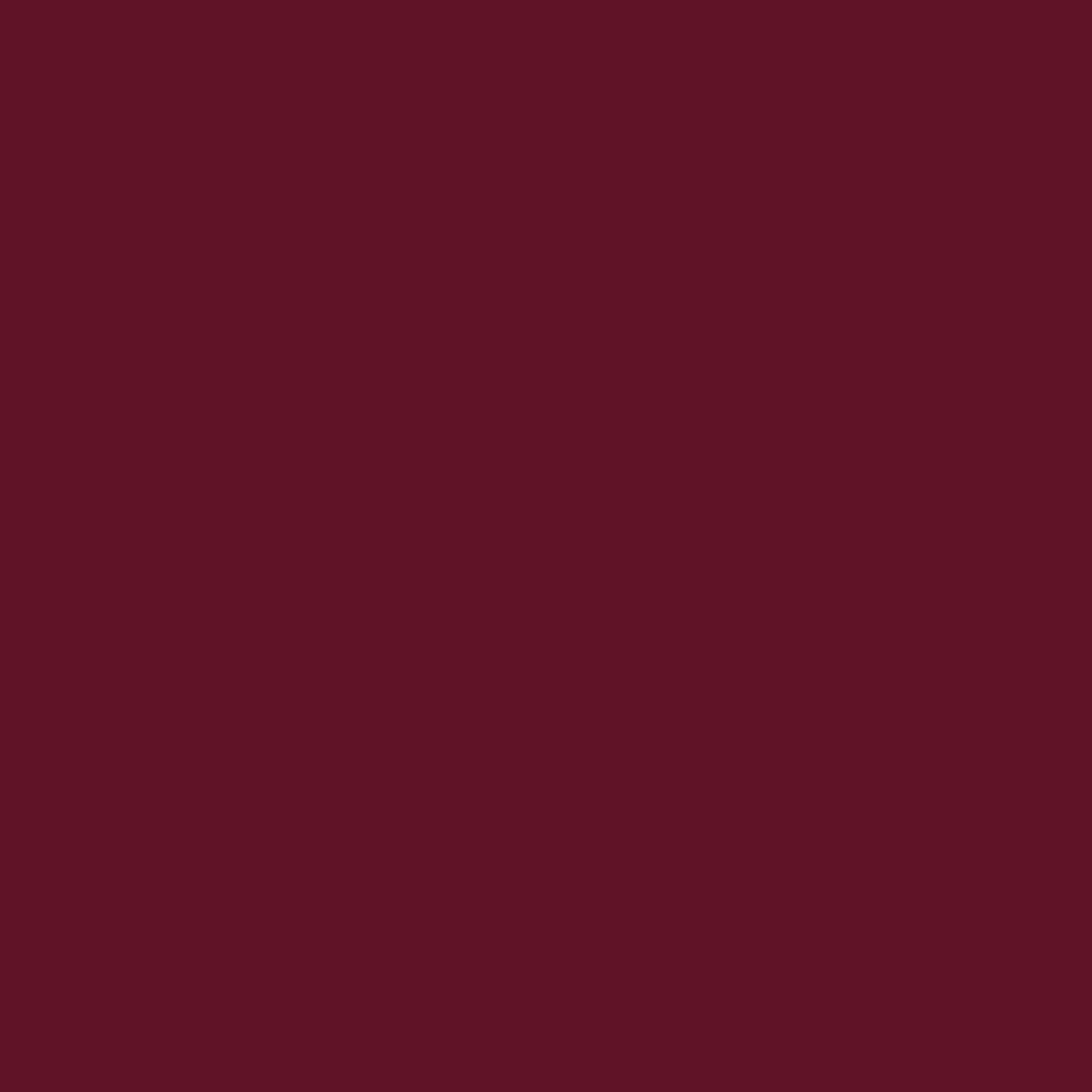 Burgund 41
